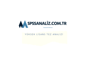 Yüksek Lisans Tez Analizi - Spss Analiz Merkezi